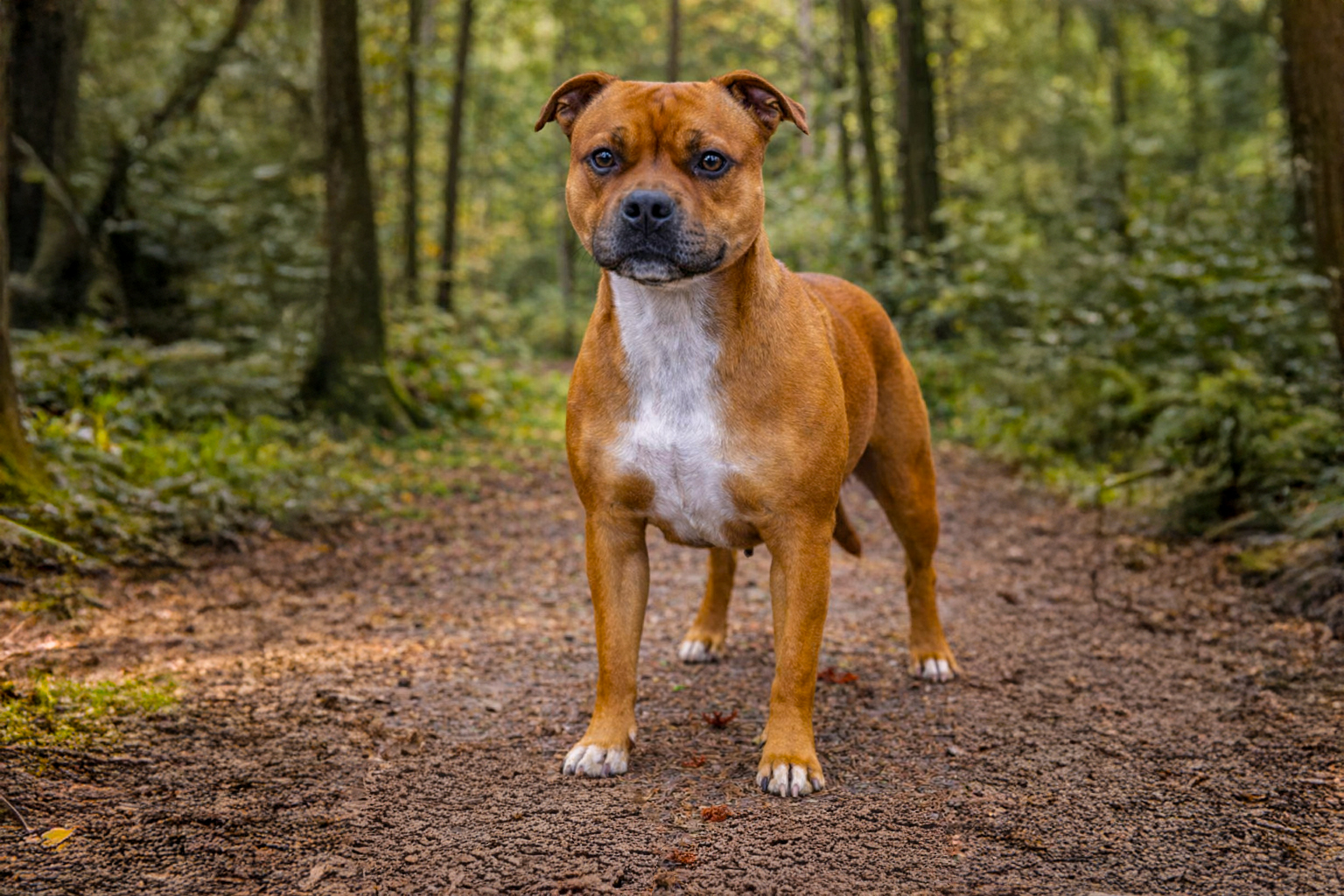 Ändrade planer: Vega är parad!